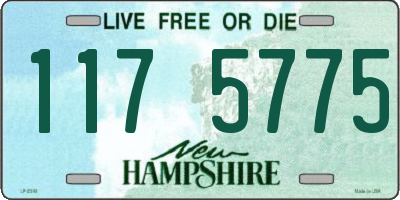 NH license plate 1175775
