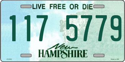 NH license plate 1175779