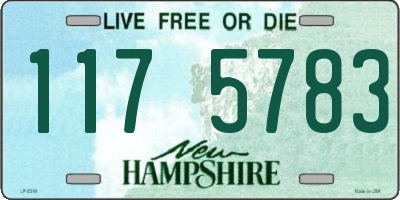 NH license plate 1175783
