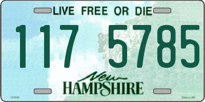 NH license plate 1175785