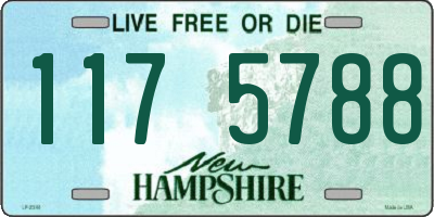 NH license plate 1175788