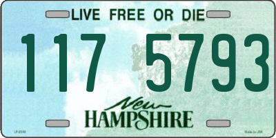 NH license plate 1175793