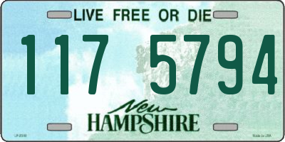 NH license plate 1175794