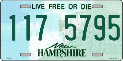 NH license plate 1175795