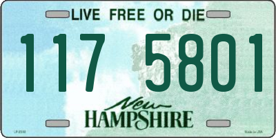 NH license plate 1175801