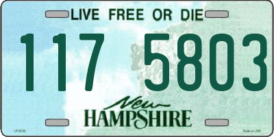 NH license plate 1175803