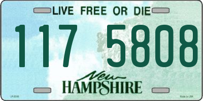NH license plate 1175808