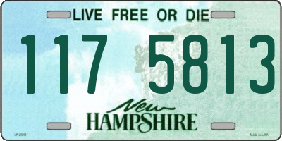 NH license plate 1175813