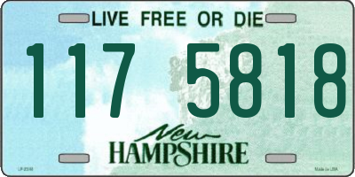 NH license plate 1175818