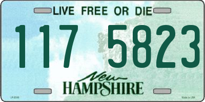 NH license plate 1175823