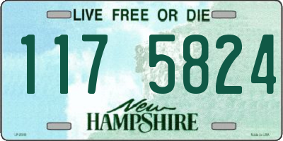 NH license plate 1175824