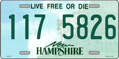 NH license plate 1175826