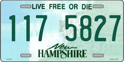 NH license plate 1175827