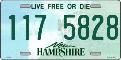 NH license plate 1175828