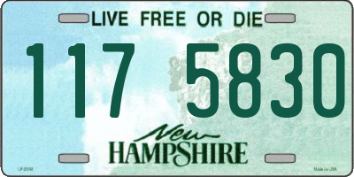 NH license plate 1175830