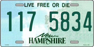 NH license plate 1175834