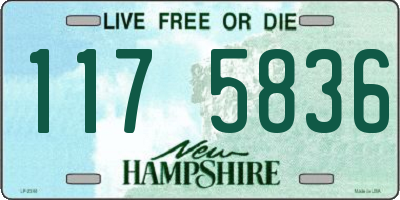NH license plate 1175836