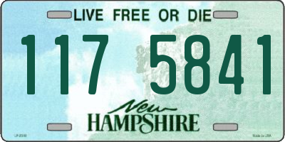 NH license plate 1175841