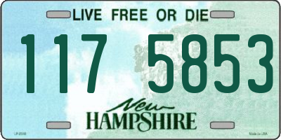 NH license plate 1175853