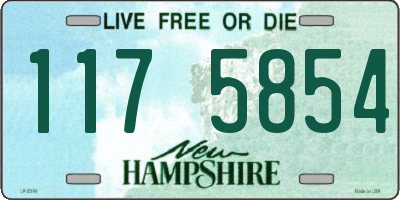 NH license plate 1175854