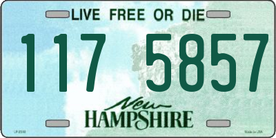 NH license plate 1175857