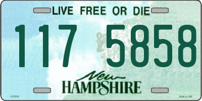 NH license plate 1175858
