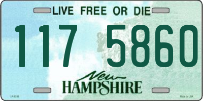 NH license plate 1175860
