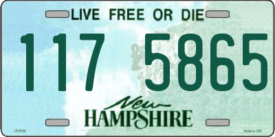 NH license plate 1175865