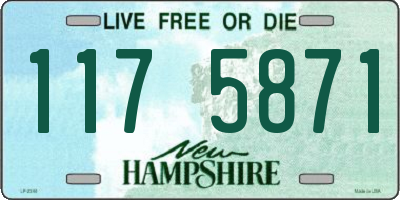 NH license plate 1175871