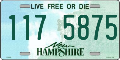 NH license plate 1175875