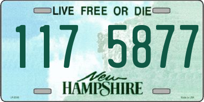 NH license plate 1175877