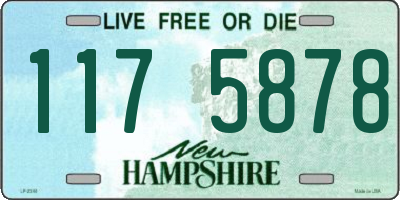 NH license plate 1175878