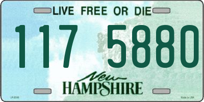 NH license plate 1175880