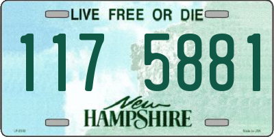 NH license plate 1175881