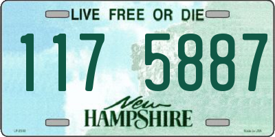 NH license plate 1175887
