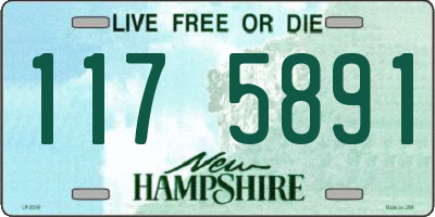 NH license plate 1175891