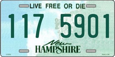 NH license plate 1175901