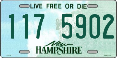 NH license plate 1175902