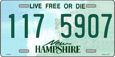 NH license plate 1175907