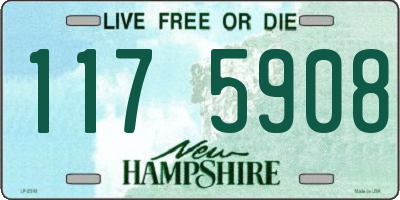 NH license plate 1175908