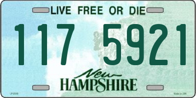 NH license plate 1175921