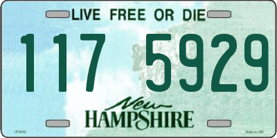 NH license plate 1175929