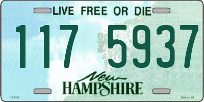 NH license plate 1175937