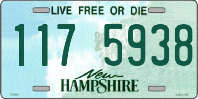 NH license plate 1175938