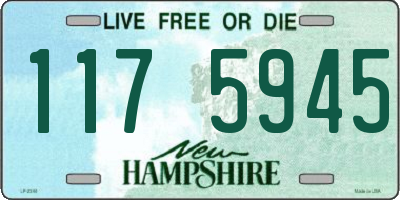 NH license plate 1175945
