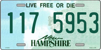 NH license plate 1175953