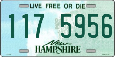 NH license plate 1175956