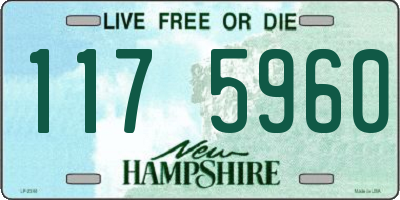 NH license plate 1175960