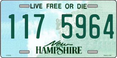 NH license plate 1175964