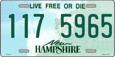 NH license plate 1175965